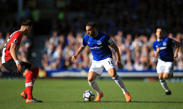 与新星的崛 与新星的崛