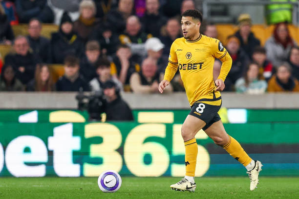 够更全面地 够更全面地